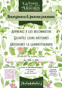 Herbulatheke gemmothérapie 2026